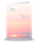 Vogel in de lucht, zonsondergang