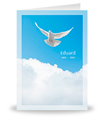 Witte duif, blauwe lucht & witte wolken 1