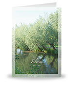 Wilgen aan het water 3