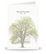 Grijs kader + Boom (Kleur)