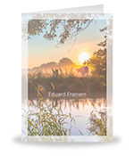 Koeien, ondergaande zon