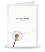 Dandelion, (paardenbloem) kleur