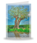 Knotwilg aan het water