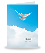 Witte duif, blauwe lucht & witte wolken 2