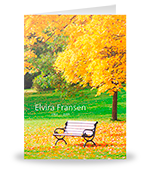 Bankje onder een boom