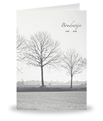 Bomen, landschap (foto z/w)