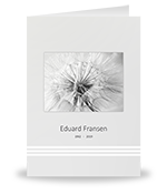 Dandelion, (paardenbloem) grijs