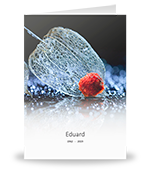 Physalis, lampionplant 2