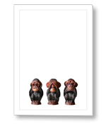 Horen, zien, zwijgen