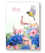 Vlinders en koolmees