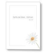 Rouwkaart met madelief