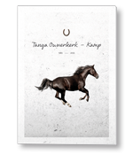 Rouwkaart met paard in silhouette met abstracte achtergrond