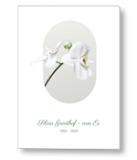 Rouwkaart met witte orchidee