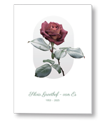 Rouwkaart met rode roos